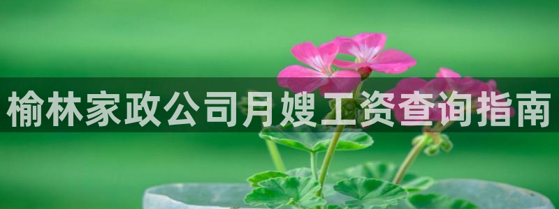 杏悦娱乐平台靠谱吗