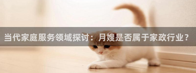 杏悦平台代理怎么做的