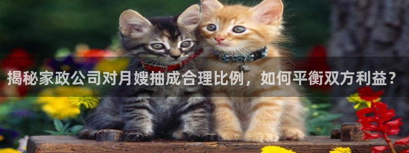 杏悦平台可靠吗是真的吗知乎