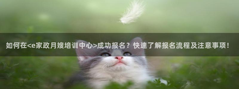 杏悦官方平台官网