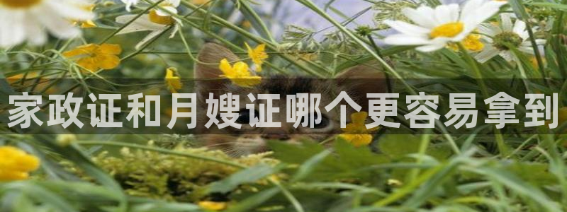 杏悦平台代理多少钱