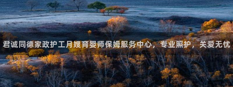 杏悦平台代理怎么做