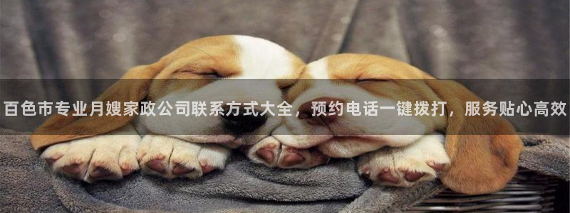 杏悦平台代理怎么赚钱的