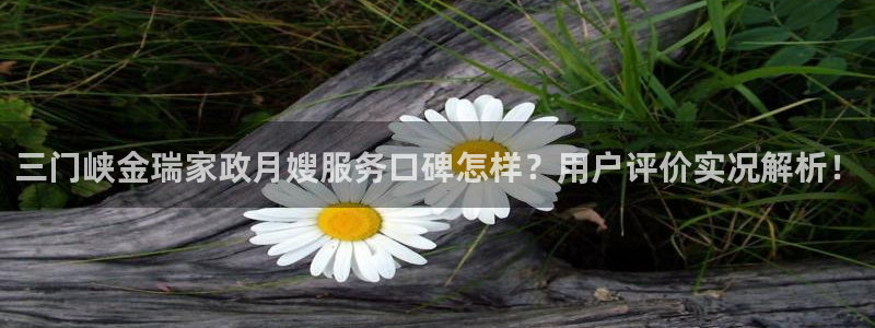 杏悦平台代理怎么赚钱快