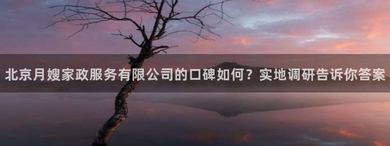 杏悦平台招商电话号码