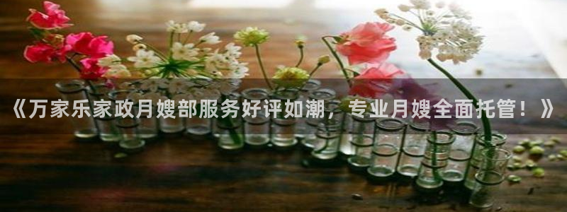 杏悦平台代理