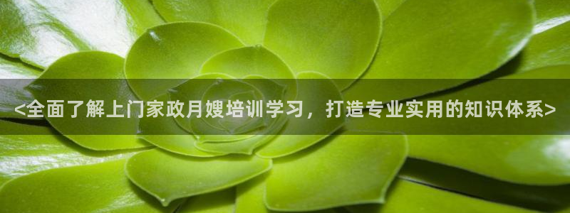 杏悦平台公司介绍