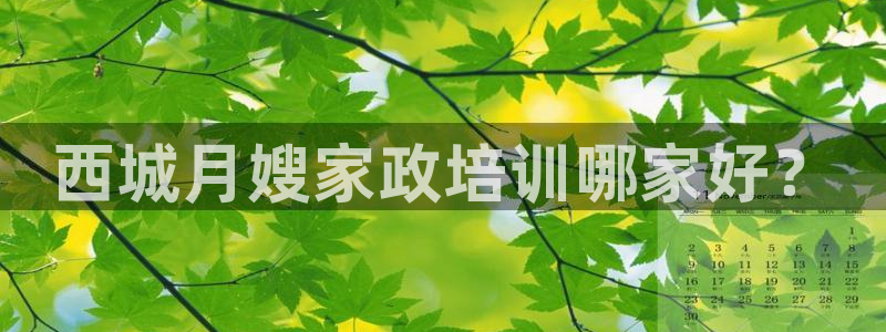 杏悦平台如何