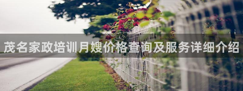 杏悦平台可靠吗可信吗安全吗