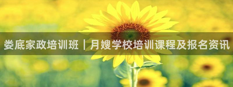 杏悦娱乐怎么玩