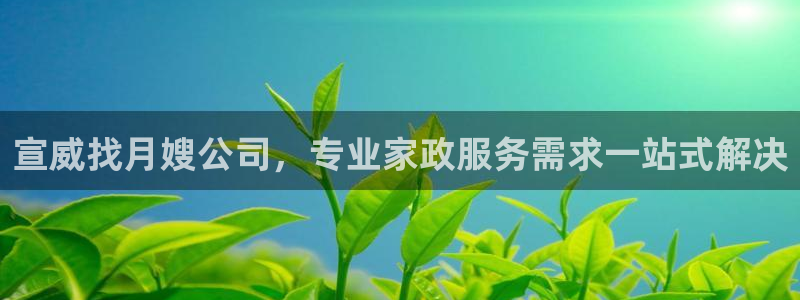杏悦平台主管
