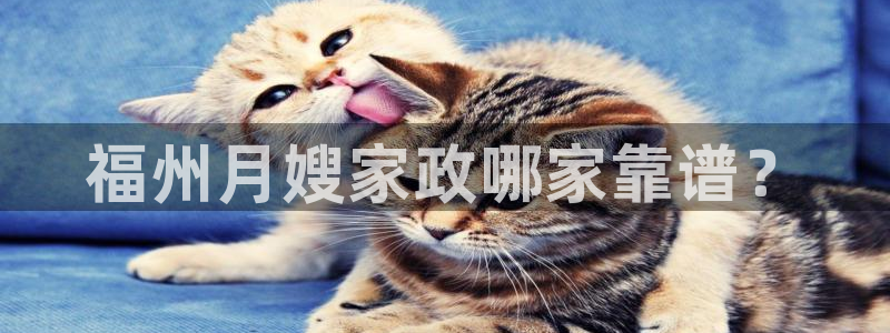 杏悦平台可靠吗是真的吗