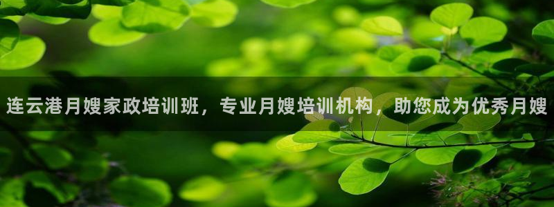 杏悦是什么