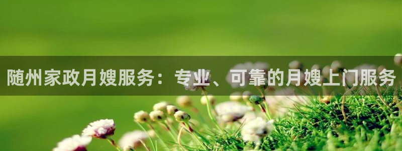 杏悦平台代理怎么赚钱快