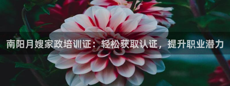 杏悦官方平台官网首页