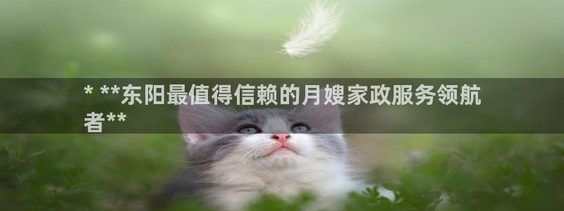 杏悦平台代理