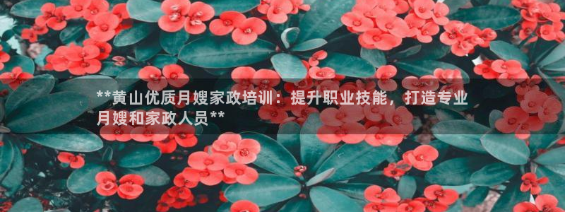 杏悦登入