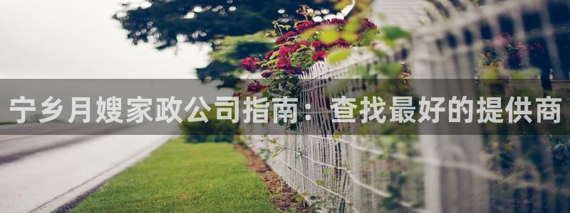 杏悦平台代理怎么做赚钱