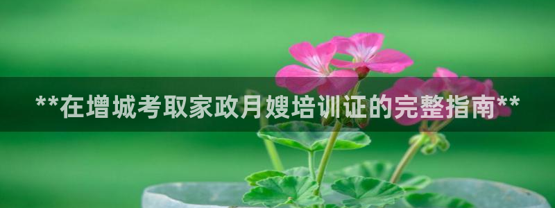 杏悦平台代理多少钱