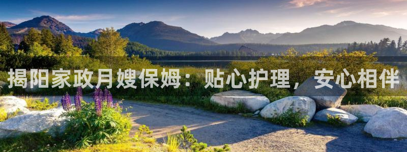 杏悦平台可靠吗是真的吗