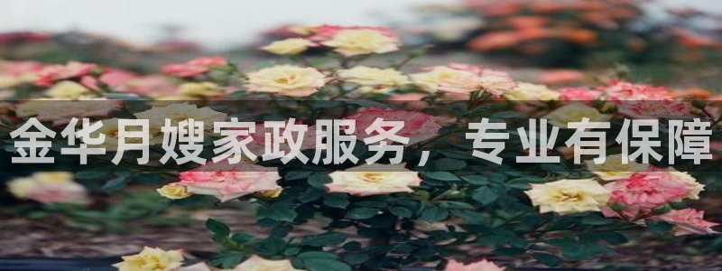 杏悦是什么平台