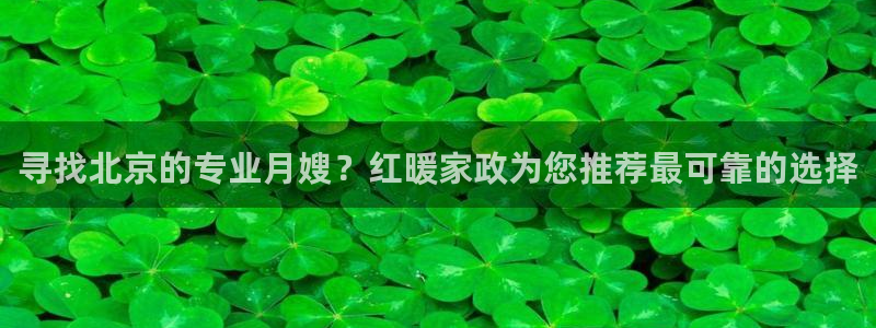 杏悦平台代理
