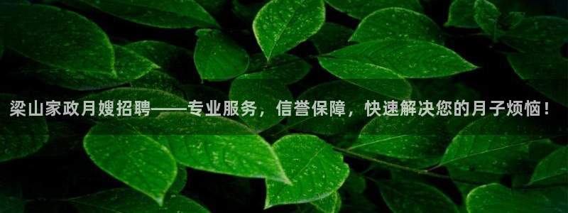 杏悦是什么平台