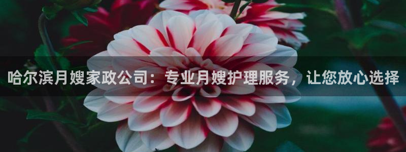 杏悦平台招商怎么样