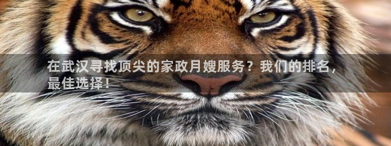 杏悦平台代理怎么样赚钱