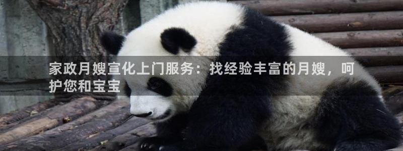 杏悦1招商地址