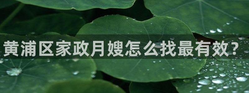杏悦平台招商