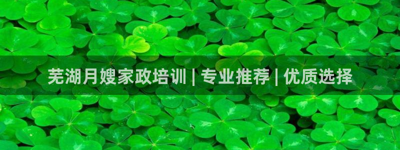 杏悦登陆地址