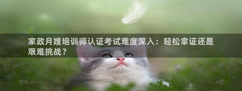 杏悦是什么平台