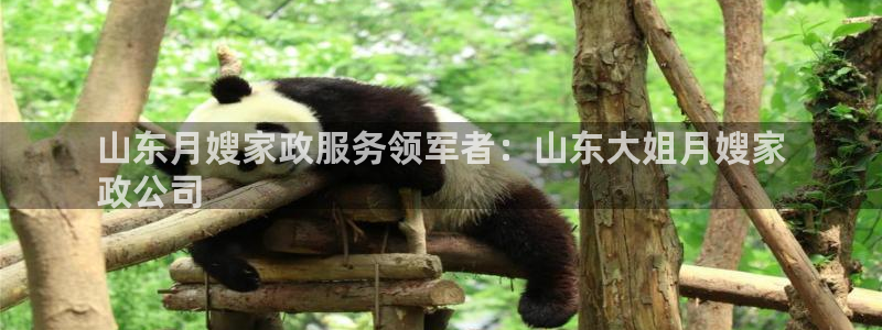 杏悦平台可靠吗可信吗是真的吗