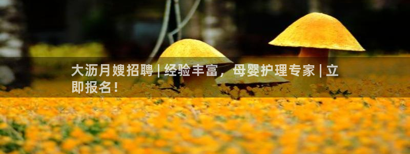杏悦平台可靠吗可信吗知乎