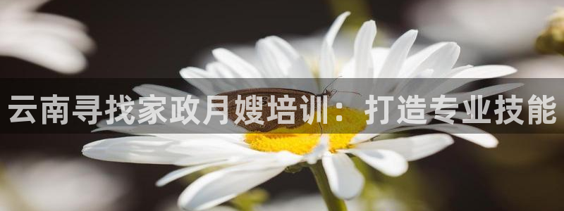 杏悦平台开户地址