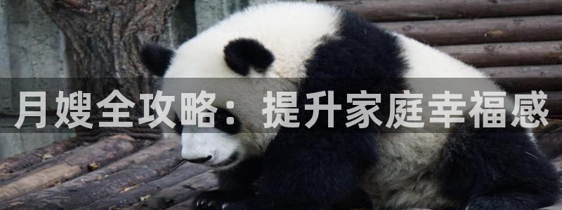 杏悦t首选推荐平台