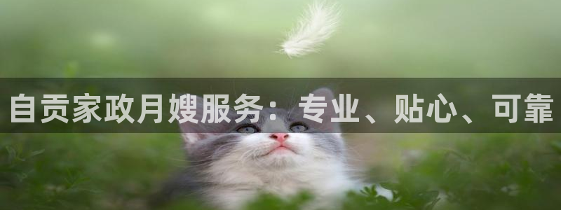 杏悦平台代理多少钱
